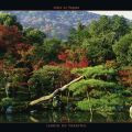 Alain le Toquin - Jardin du Tenryu-ji