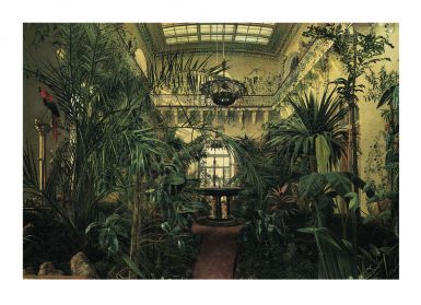 winter-garden-at-st-petersburg