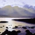Wendy Corbett - Timeless