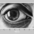 M.C. Escher - Auge