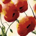 Heidi Reil - Mohn 1