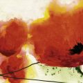 Heidi Reil - Flying Red