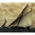 William Matthews - Cicely