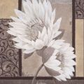 Claudia Ancilotti - White Waterlily