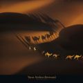 Yann Arthus-Bertrand - Dromedary near Nouakchott
