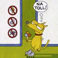 Martin Zak - Na Toll!