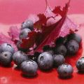 Sara Deluca - Huckleberries