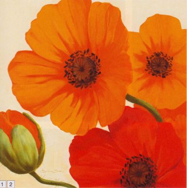 california-poppies