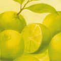 Susanne Bach - Lime