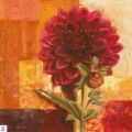 Gabor Barthez - Delightful Dahlia
