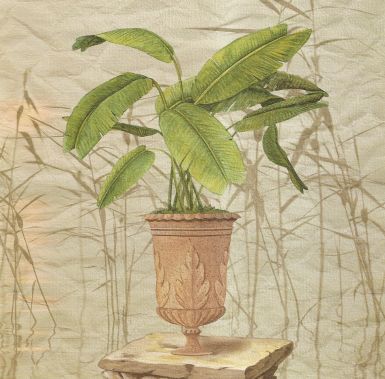 obrazy-hrnkove-stromy-iv