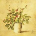 Fabrice de Villeneuve - Obrazy - Strawberry Plant