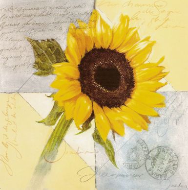 the-original-sunflower