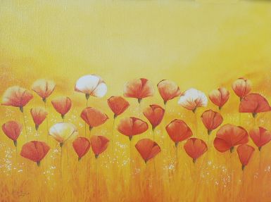 wild-red-poppies
