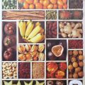 Corynne Ryman - Poličky - Exotic Fruits