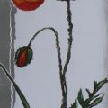 Barbing Rosenhof - Poppy I