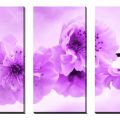 Obrazy na plátně - Květy II