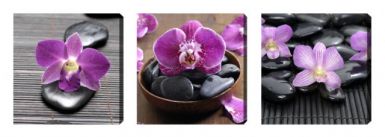 obrazy-na-platne-set-015