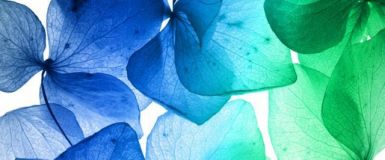 obrazy-na-platne-38x100-26