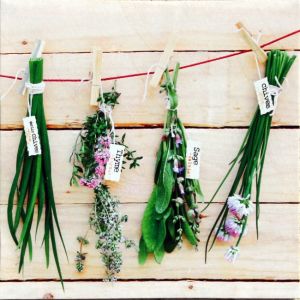 obrazy-na-platne-bylinky-ii