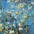 Vincent van Gogh - Mandorlo in Fiore