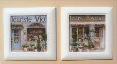 obrazy-duo-20x20-fleurs-exotique-fleuriste-violet