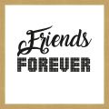 Rámované obrazy - Friends Forever