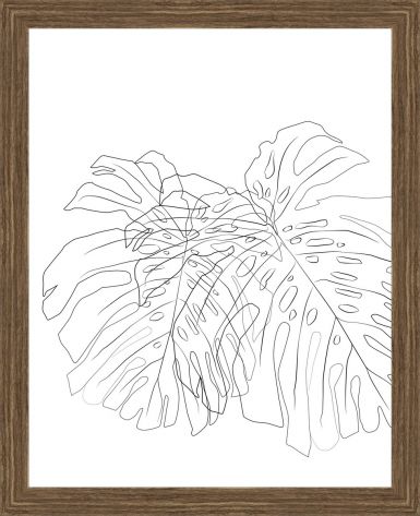 ramovane-obrazy-monstera