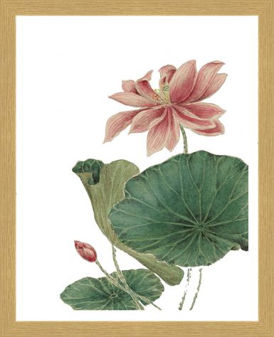 ramovane-obrazy-lotos