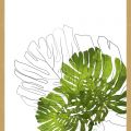 Rámované obrazy - Monstera IV
