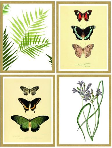 ramovane-obrazy-ns-set-4x30x40-iv