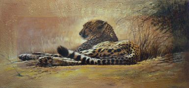 gepard