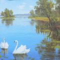 Obrazy - Divoké Labutě II