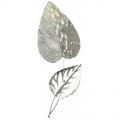 Kovové nástěnné dekorace - Lístkové duo