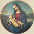 Raffaello - Obrazy - Madonna Conestabile - Leningrado