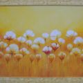Emily Light - Wild White Poppies